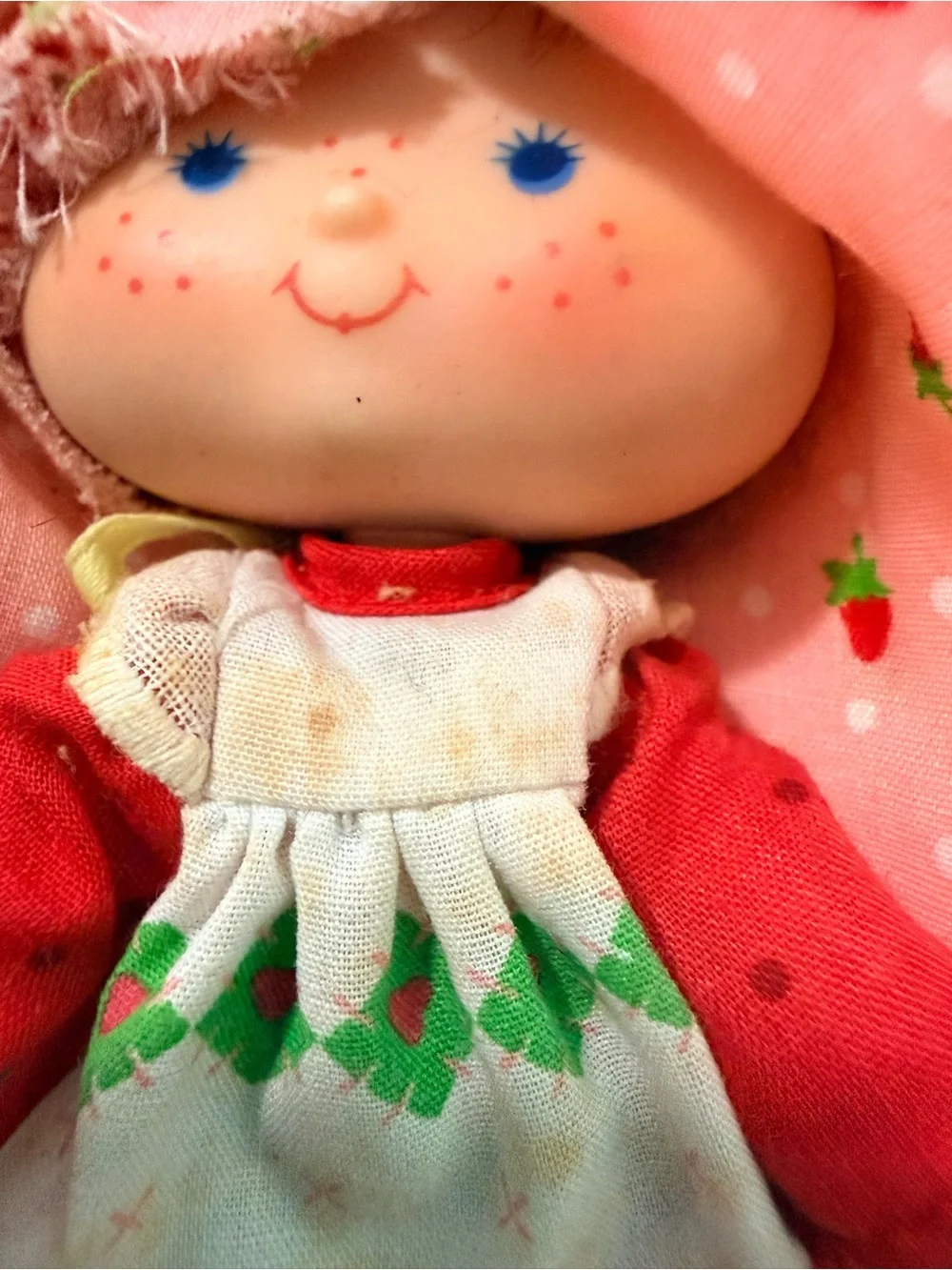 VTG 1979 Strawberry shortcake, Lemon Meringue and Baby Apricot w/ Book
